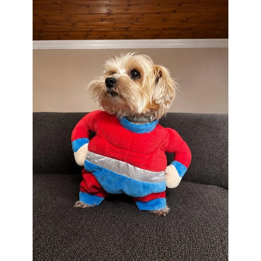 Dog Super Hero Costume (XS) Missing Cape (AS IS)